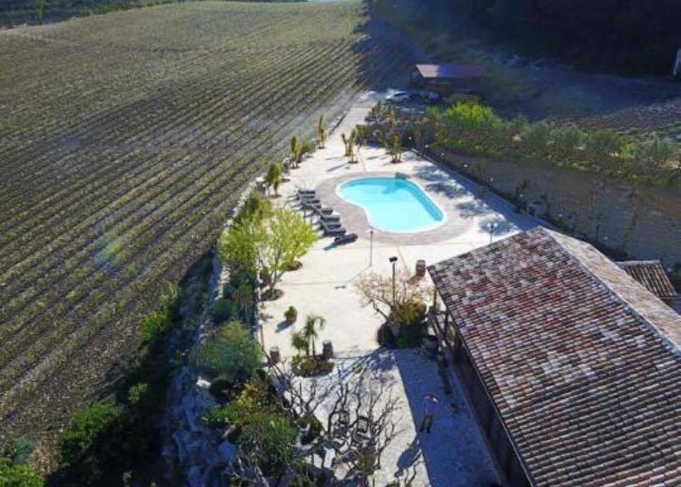 Agriturismo Tenute Pispisa Segesta Calatafimi Exteriér fotografie