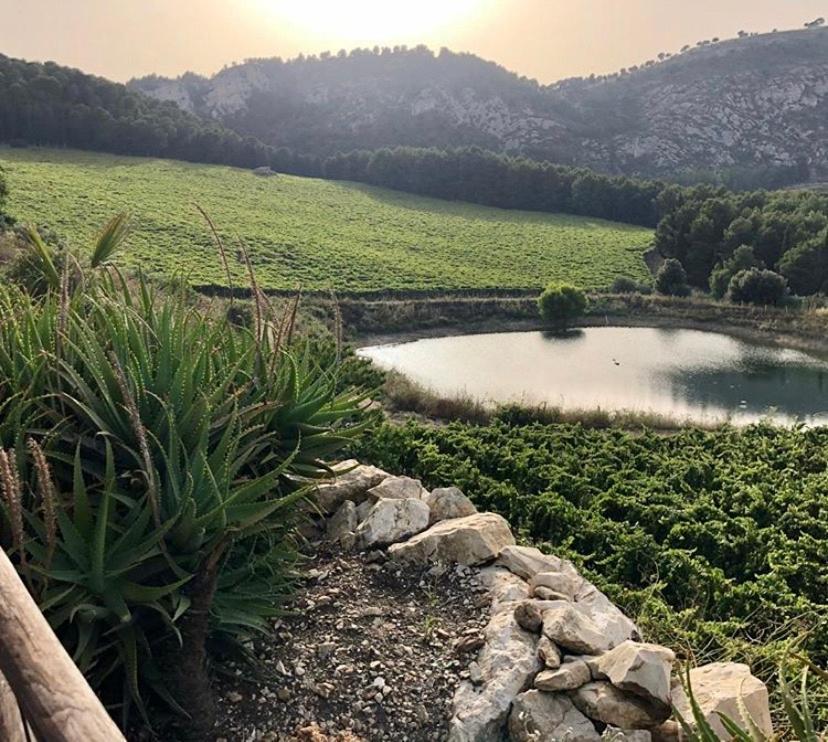 Agriturismo Tenute Pispisa Segesta Calatafimi Exteriér fotografie