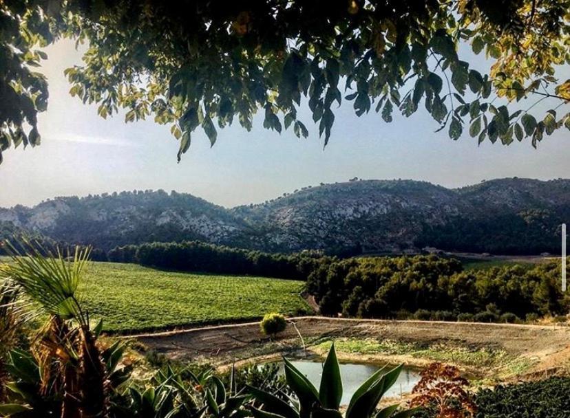 Agriturismo Tenute Pispisa Segesta Calatafimi Exteriér fotografie
