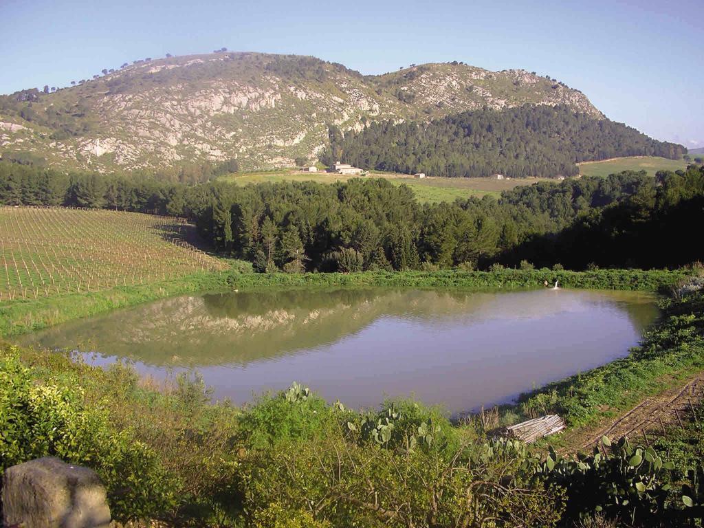 Agriturismo Tenute Pispisa Segesta Calatafimi Exteriér fotografie