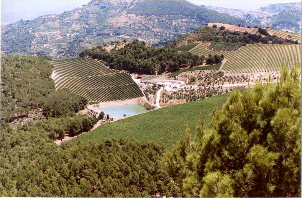 Agriturismo Tenute Pispisa Segesta Calatafimi Exteriér fotografie