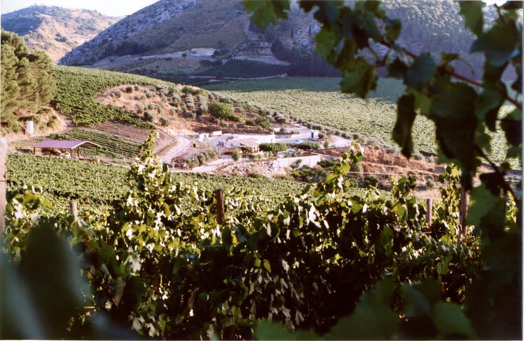 Agriturismo Tenute Pispisa Segesta Calatafimi Exteriér fotografie
