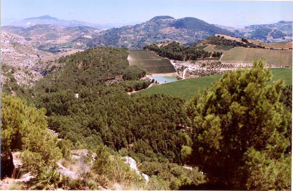 Agriturismo Tenute Pispisa Segesta Calatafimi Exteriér fotografie