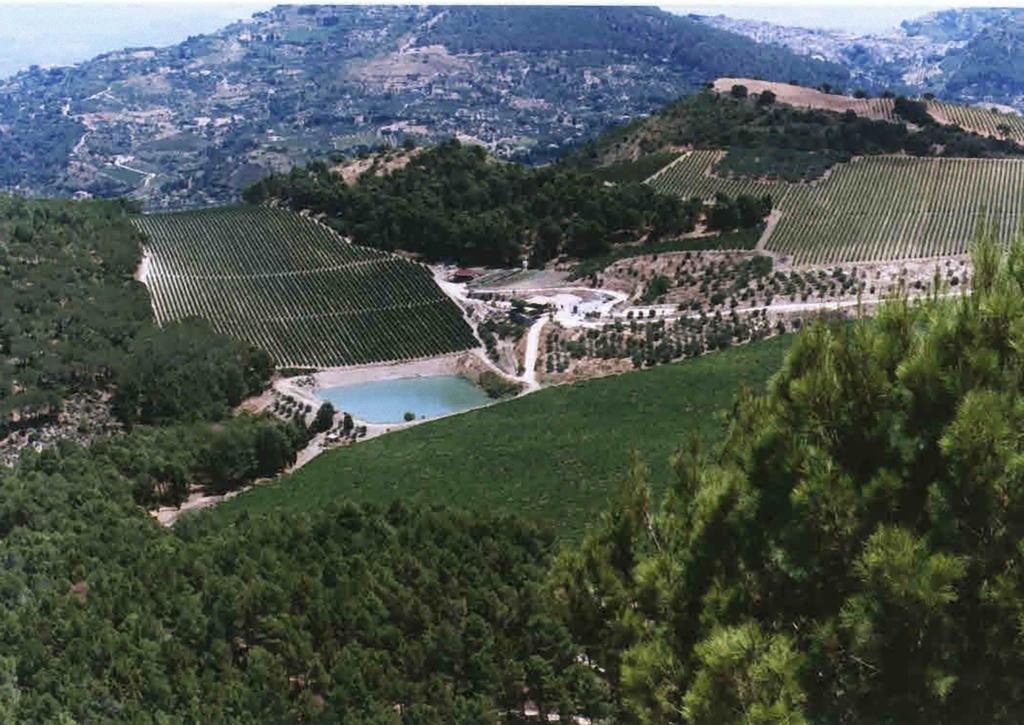 Agriturismo Tenute Pispisa Segesta Calatafimi Exteriér fotografie