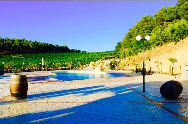 Agriturismo Tenute Pispisa Segesta Calatafimi Exteriér fotografie